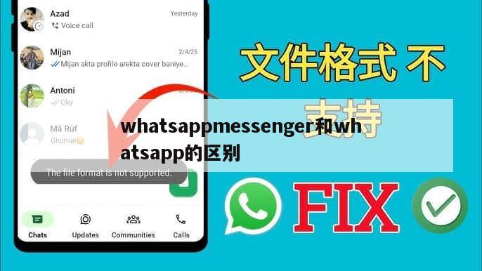 whatsappmessenger和whatsapp的区别