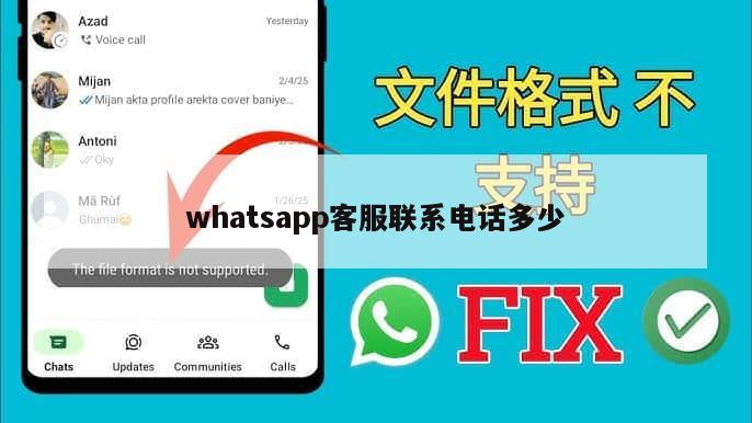 whatsapp客服联系电话多少
